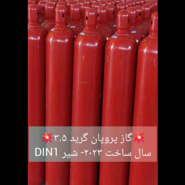 1722670908433.webp